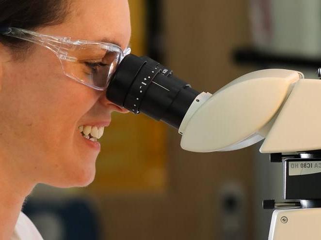 Women is looking through a microscope with protection goggles on