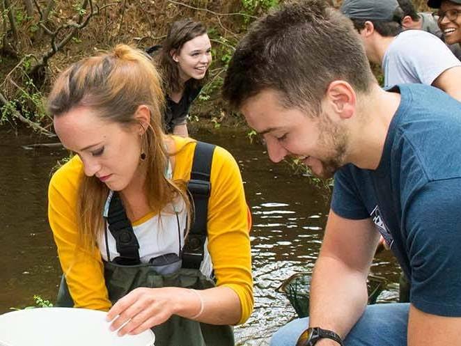 A group of students standing in a lake observing the water and taking notes